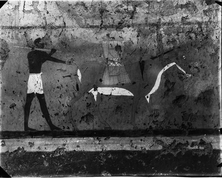 Tomb of Iti and Neferu. Pillar number 12. A man is depicted leading a donkey carrying two baskets tied together on its back; the basket on the left side of the animal (usually not seen) is drawn above the other in order to make it visible. Schiaparelli excavations.