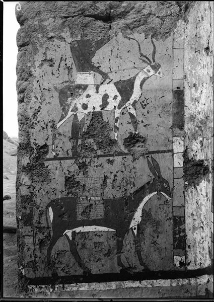 Tomb of Iti and Neferu. End wall of the south-facing facade. This scene is divided into two panels. At the top, an antelope is shown held on a leash by a man. At the bottom, one of the many donkeys loaded with grain is about to reach the granary; depicted on the back wall of the portico. Schiaparelli excavations. 