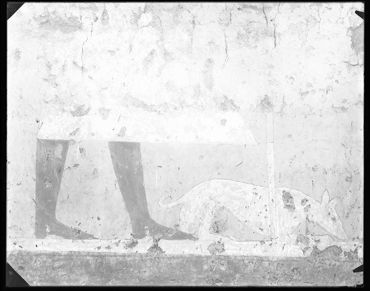 Tomb of Iti and Neferu. Pillar number 10. This painting depicts Iti holding a long staff wearing a large white linen kilt. One of his hounds sniffs the ground at his feet. Schiaparelli excavations. (S.14354/01) 