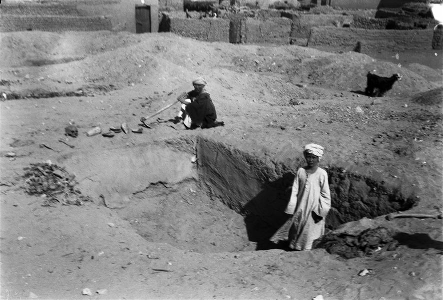 Excavating a large rectangular shaft and recovering skeletal remains. Farina excavations. 