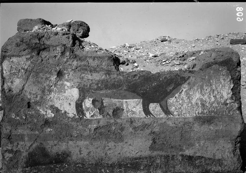 Tomb of Iti and Neferu. Pillar number 6. This very fragmentary wall painting displays a mating scene between hippos where the female is clearly visible. The second figure, which was still visible at the time of its discovery, was  described by Virginio Rosa in his excavation journal. Schiaparelli excavations.