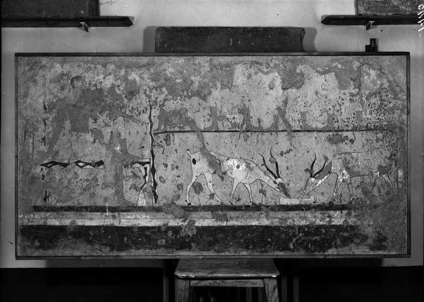 Tomb of Iti and Neferu. Museum display. This scene depicts the deceased Iti seated on a stool lined with cowhide in the shade of a pavilion, watching two tame antelopes feeding. Above are four male figures, one is shown seated, while the others are shown standing and drawn from a frontal view. Schiaparelli excavations (S.14354/14). 