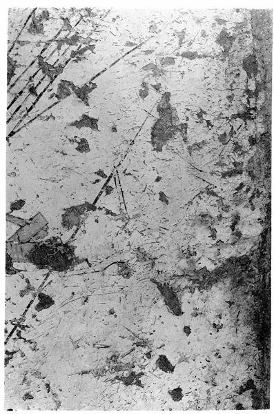 Tomb of Iti and Neferu. The image displays a detail from photograph C01446,  where a monkey can be seen climbing the rigging to board the boat. Schiaparelli excavations. (S.14354/07) 