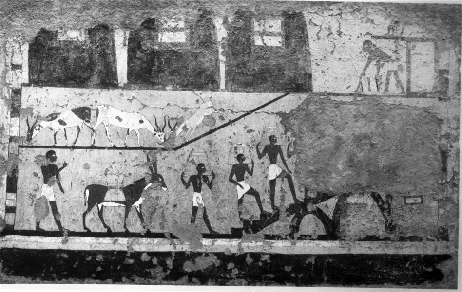 Tomb of Iti and Neferu. Museum display. This picture documents almost in its entirety, the large painting that was present on the main wall of the portico in front of the tomb. The scene is dominated by the presence of some silos for storing grain and is the final destination for the procession of donkeys represented on the pillars. Here the grain is carried by hand to the top of the granary, to be poured out and measured, all documented and checked by a scribe. Part of the painting is missing due to the placement of a funerary stele "of the archers" (S.13115) on the wall, linked to reusing the tomb in later times. Schiaparelli excavations. (S.14354/15) 