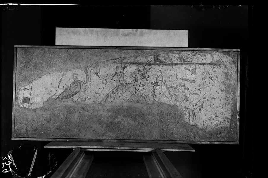 Tomba di Iti e Neferu. Allestimento museale. La facciata della tomba, protetta dal lungo porticato, era interrotta da 11 aperture che immettevano in altrettante stanze, i tratti di muro compresi tra un’apertura e l’altra erano decorati. La fotografia documenta la prima frammentaria pittura (iniziando da sud), con la raffigurazione di alcuni esemplari di gru. Scavi Schiaparelli. (S.14354/19)