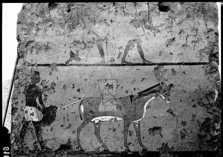 ​Tomb of Iti and Neferu. Pillar number 14 (last pillar). In the upper part of the painting, two workers can be seen making a coffin, perhaps the one for the deceased himself. A carpenter on the left is holding an axe, while another saws a wooden board. In the lower register, a donkey carrying two baskets has been beaten by a herdsman on its rear, as the wounds inflicted by the stick are visible. Schiaparelli excavations. 