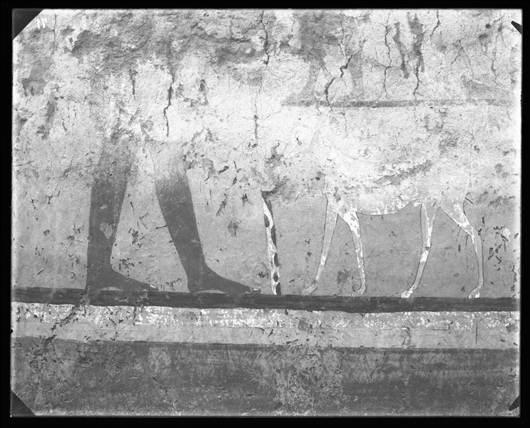 Tomb of Iti and Neferu. Pillar number 9. The deceased is shown standing and holding a staff with its lower end covered in spotted cow skin. In front of him is an elegant greyhound with a red collar, one of five examples of such depicted in the tomb. Schiaparelli excavations. (S.14354/03) 