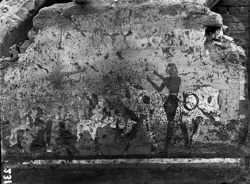 Tomb of Iti and Neferu. This painting, partly ruined, depicts two bulls butting heads while two herdsmen try to separate them. In the upper register there is an incomplete scene with various animals, including giraffes; a species that inhabited the southern regions of Nubia. Schiaparelli excavations.