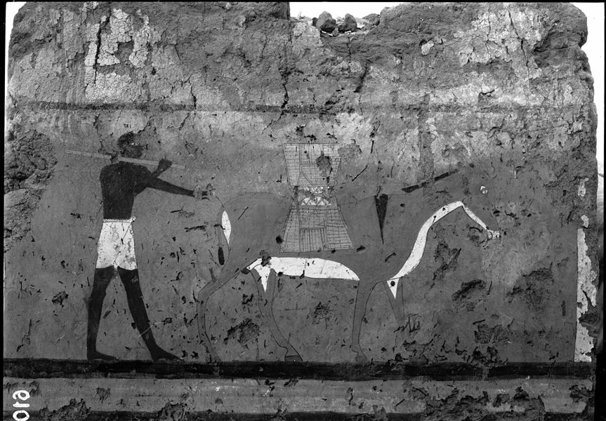 Tomb of Iti and Neferu. Pillar number 12. A man is depicted leading a donkey carrying two baskets tied together on its back; the basket on the left side of the animal (usually not seen) is drawn above the other in order to make it visible. Schiaparelli excavations.