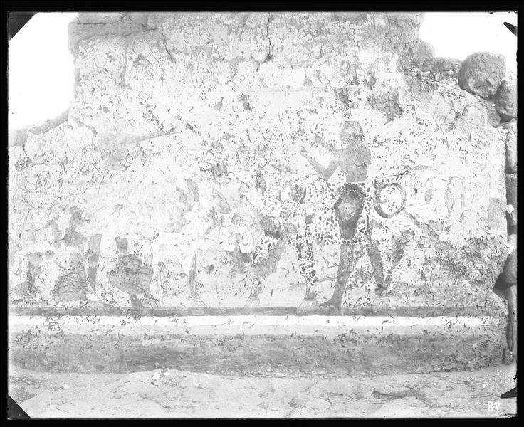 Tomba di Iti e Neferu. Questa pittura, in parte rovinata, raffigura due tori che si scontrano, mentre due mandriani cercano di separarli. Nel registro superiore una scena incompleta con vari animali, fra cui delle giraffe, specie che abitava le regioni meridionali della Nubia. Scavi Schiaparelli.