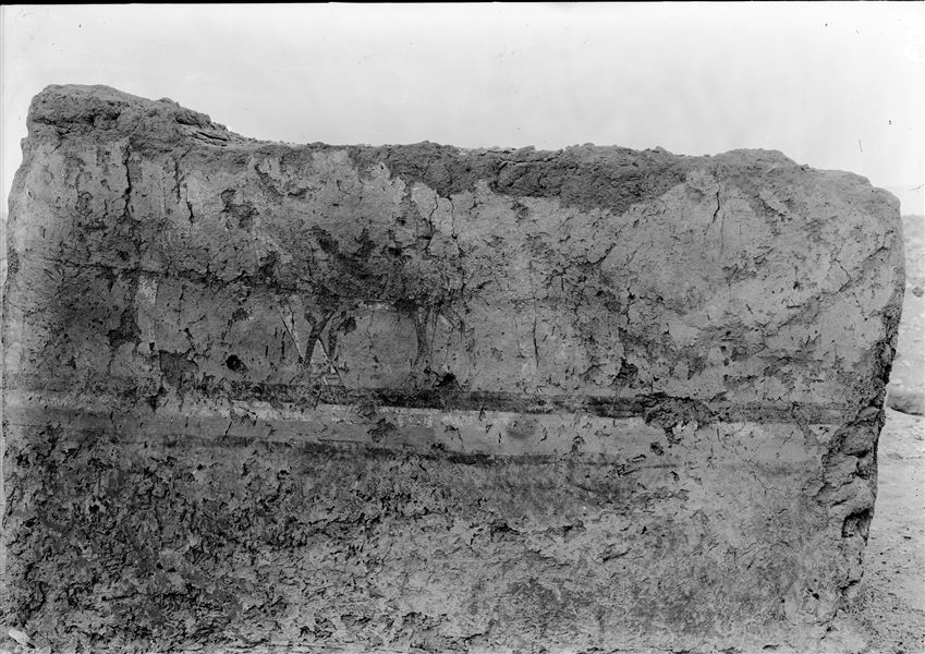 Tomb of Iti and Neferu. This painting, not present in the museum, is known to us only through this image and a brief description made by Virginio Rosa at the time of its discovery. You can see the legs of "a damaged figure of a cow (white and pink) and a calf (red) that drinks milk). Schiaparelli excavations.