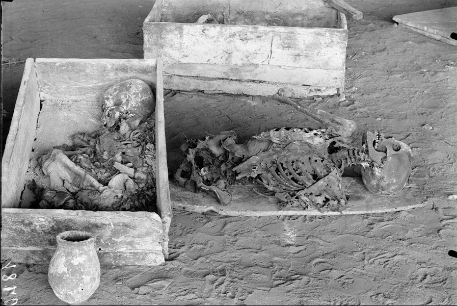 Scattered burials in the desert area north of northern hill. The image shows at least two distinct burials, both in quadrangular boxes. The deceased was sometimes placed on a board and lowered to the bottom of the box. Farina excavations. 