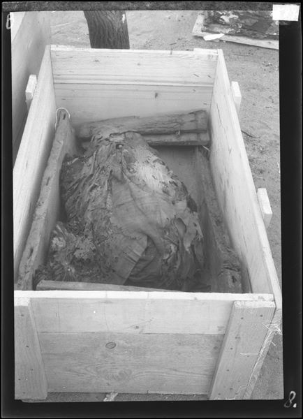 Burial of a mummy bundle placed inside a wooden box. The photograph shows the packaging of finds at the mission’s camp. Farina excavations. 