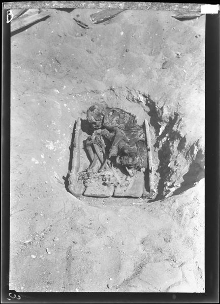 Scattered burials in the desert area north of northern hill. The photograph shows the moment of discovering a wooden box containing a burial, with the deceased in a contracted position wrapped in cloth. Farina excavations. 