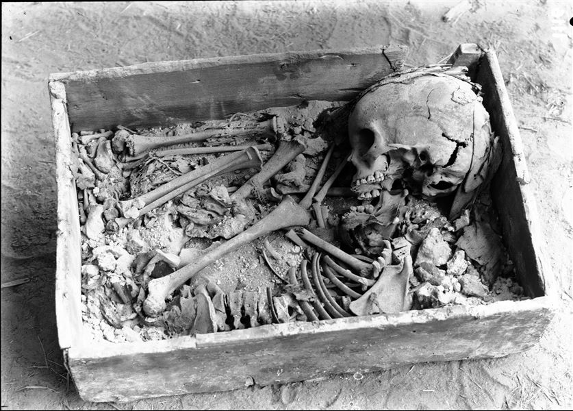 Scattered burials in the desert area, north of northern hill. Burial in a quadrangular box with a lid. The bones, completely disarticulated, are neatly arranged at the bottom of the box. Farina excavations. 