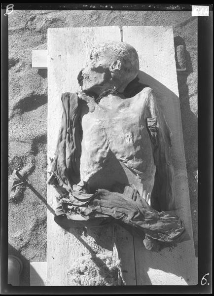 Scattered burials in the desert area north of northern hill. Human remains. Farina excavations. 