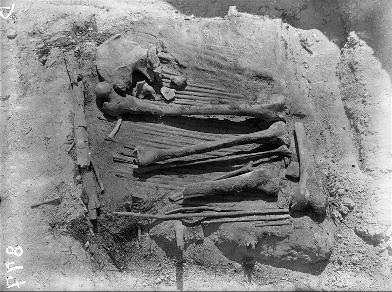 Scattered burials in the desert area north of northern hill. Deceased remains placed inside a reed box. Farina excavations. 