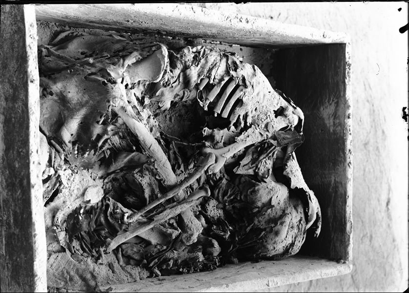 Scattered burials in the desert area north of northern hill. Burial in a quadrangular box with a lid. The deceased is placed in a tightly contracted position and wrapped in cloth. Farina excavations. 