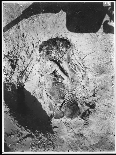 Burials scattered in the desert area north of the northern hill. A large basket, almost completely lost, containing the body of a deceased individual wrapped in cloth, ​​ placed on its side in a contracted position. Farina excavations. 