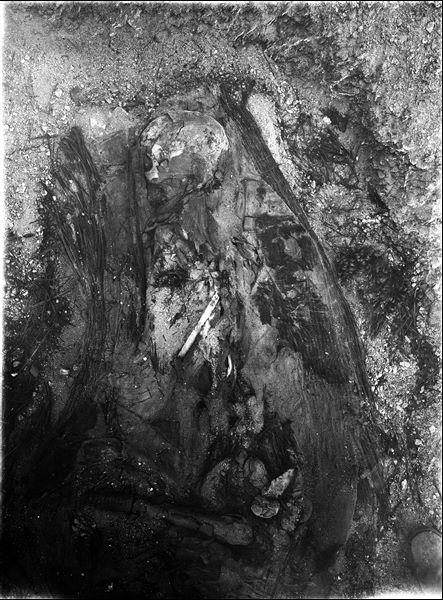 Scattered burials in the desert area north of northern hill. Basket burial of an adult in a contracted position. Farina excavation. 