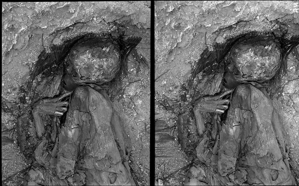 Scattered burials in the desert area north of the northern hill. The discovery of this burial must have been of great interest to Giovanni Marro, the anthropologist on the mission, as this find is documented in five different images. It is a basket burial in a contracted position. The individual is wrapped in cloth, and has their right index finger positioned near their face. Farina excavations. 
