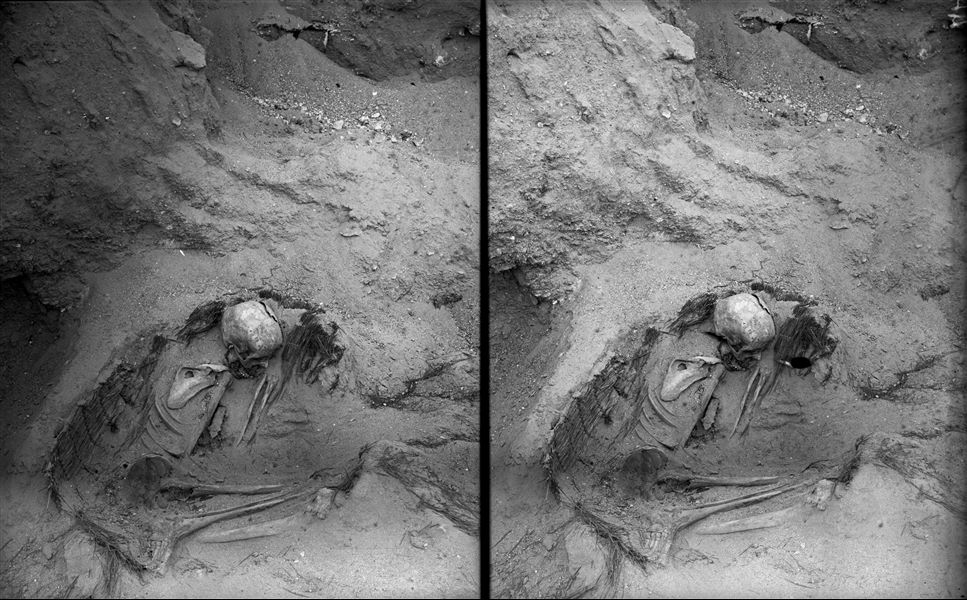 Scattered burials in the desert area north of the northern hill. Basket burial of an adult in a contracted position. Farina excavations. 
