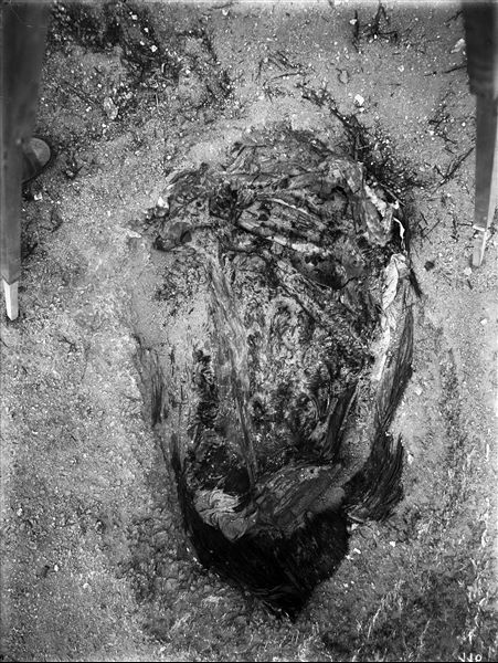 Scattered burials in the desert area north of the northern hill. Basket burial of an adult in a contracted position. Farina excavations. 