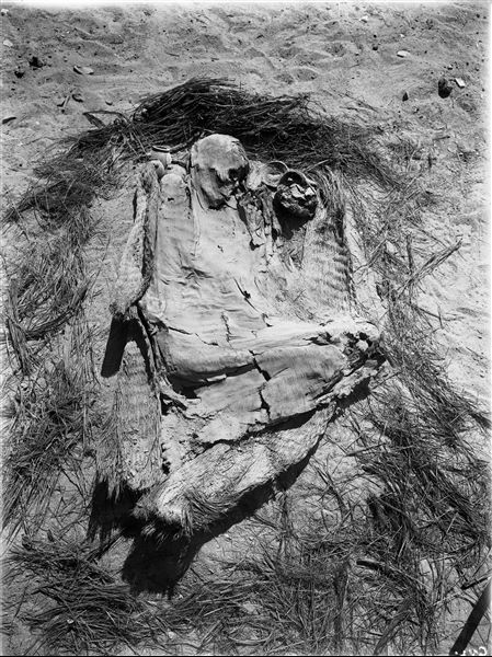 Scattered burials in the desert area north of northern hill. Large basket burial of an adult. Near the deceased’s face, some grave goods are visible. Farina excavations. 