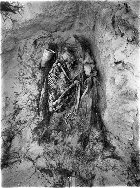 Scattered burials in the desert area north of northern hill. Basket burial of an adult in a contracted position. Behind the deceased's back, a fine alabaster cup. At the bottom of the image, a leg from the photographic tripod is visible. Farina excavations.  