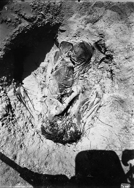 Burials scattered in the desert area north of the northern hill. A large basket, almost completely lost, containing the body of a deceased individual wrapped in cloth, ​​ placed on its side in a contracted position. Farina excavations. 