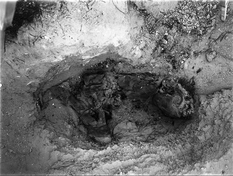 Scattered burials in the desert area north of the northern hill. Basket burial of an adult in a contracted position. Farina excavations. 