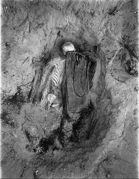Scattered burials in the desert area north of the northern hill. Two deceased individuals are visible, perhaps belonging to the same family. Below are the remains of an adult in a contracted position and above, a small basket that perhaps housed a young individual. Farina excavations. 
