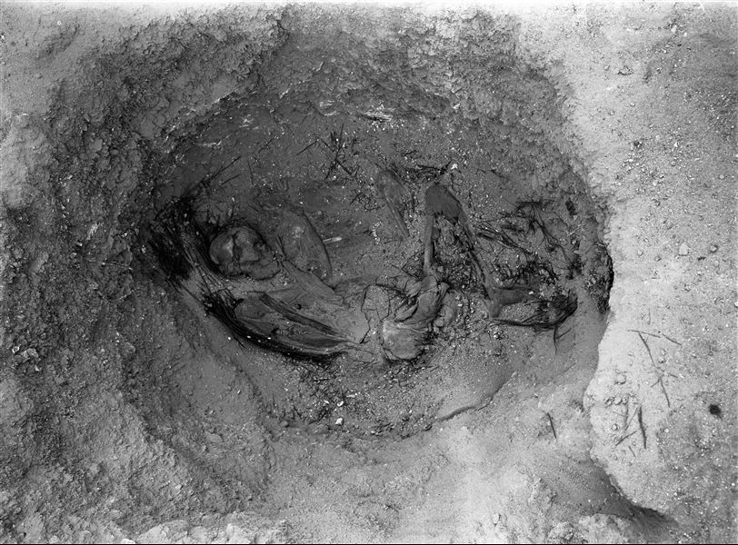 Scattered burials in the desert area north of the northern hill. Basket burial of an adult in a contracted position. Farina excavations. 