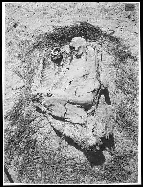 Scattered burials in the desert area north of northern hill. Large basket burial of an adult. Near the deceased’s face, some grave goods are visible. Image rotated 180°. Farina excavations. 