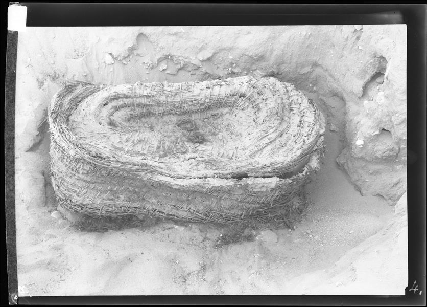 Burials scattered in the desert area north of the northern hill. The photograph documents the discovery of a burial within an exceptionally well-preserved basket. Farina excavations. 