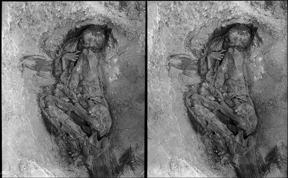 Scattered burials in the desert area north of the northern hill. The discovery of this burial must have been of great interest to Giovanni Marro, the anthropologist on the mission, as this find is documented in five different images. It is a basket burial in a contracted position. The individual is wrapped in cloth, and has their right index finger positioned near their face. Farina excavations. 