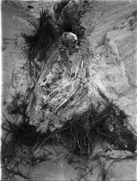 Scattered burials in the desert area north of the northern hill. Basket burial of an adult in a contracted position. Farina excavations. 