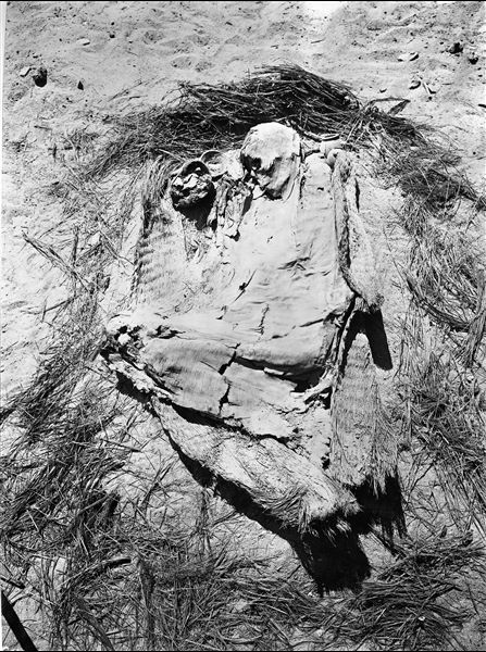 Scattered burials in the desert area north of northern hill. Large basket burial of an adult. Near the deceased’s face, some grave goods are visible. Image rotated 180°. Farina excavations. 