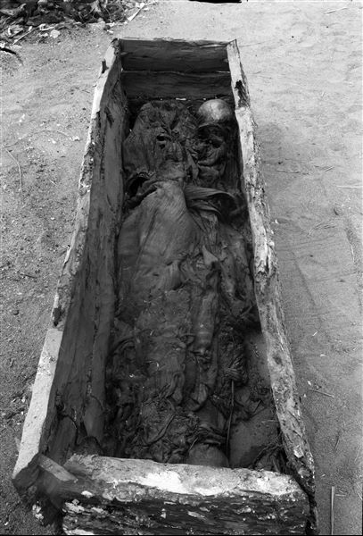 Burial in a rectangular coffin, with the deceased lying on its side. Visible inside the coffin are the rope bindings that keep the wooden planks together. Schiaparelli excavations. 
