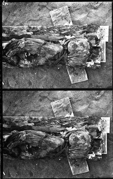 Burial in a coffin where only some parts of the bottom remain, resting on modern wooden boards. The deceased, lying down, has its linen cloth and bandages still intact. Schiaparelli excavations. 