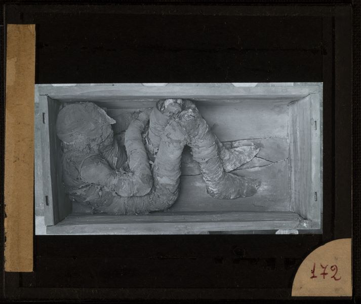 Rectangular wooden coffin burial with a mummy lying on its side. Schiaparelli excavations.