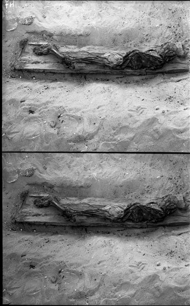 Burial of a young individual in a rectangular coffin, only the bottom has been preserved. The deceased, wrapped in cloth, is lying on its side. Schiaparelli excavations. 