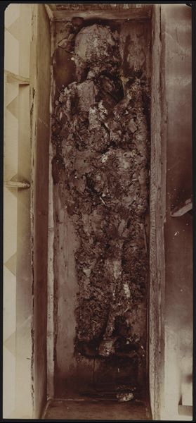 Painted coffin with the remains of the deceased Iti, photographed in the museum. His tomb was discovered intact during the 1911 campaign by researcher Virginio Rosa. The image documents the body’s advanced state of decomposition, which led Ernesto Schiaparelli to request a new burial at the Monumental Cemetery in Turin in 1926. 