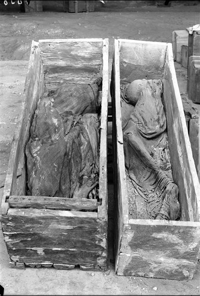 A pair of rectangular coffins with the deceased lying on their sides. Photographed at the camp whilst packaging finds. Schiaparelli excavations. 
