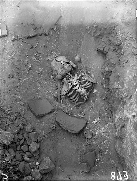 ​Scattered burials in the desert area north of northern hill. Human remains. Farina excavations. 