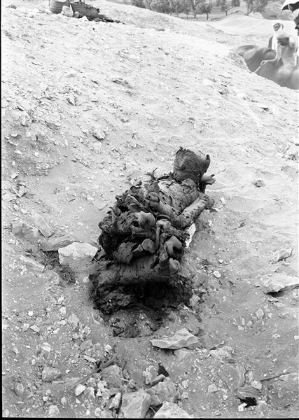 ​Burials in the plain to the east of the northern hill. After discovery, human remains of an individual with each body part separately bandaged were laid on the ground to be photographed. The pillared headrest under the nape of the deceased’s neck is visible. Schiaparelli excavations. 