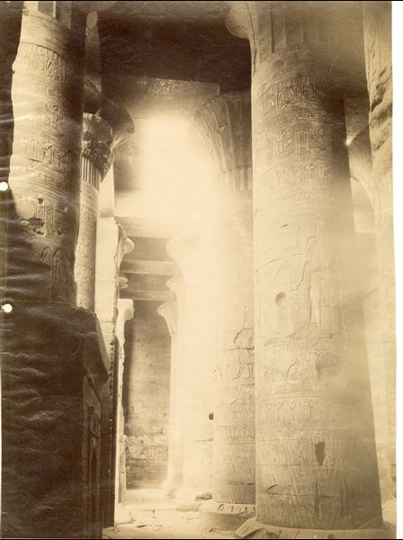 La fotografia mostra uno scorcio del colonnato della sala ipostila del tempio di Horus a Edfu. Sulla base dello stile calligrafico della didascalia è possibile attribuire lo scatto ad Antonio Beato. 