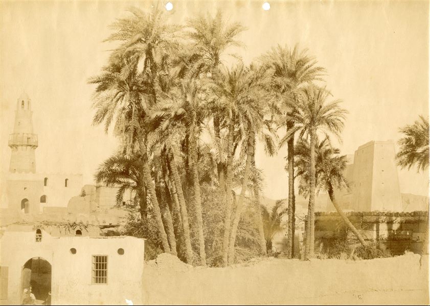 In the foreground there are some dwellings from the village of Edfu near the Ptolemaic temple, which can be seen in the background on the right. On the left, in the background, there is a mosque, which can be identified by its minaret. The calligraphic style of the caption on the back can be attributed to Antonio Beato.  