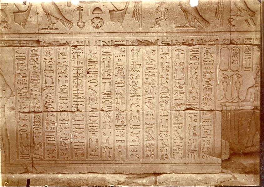 Rilievi parietali dalle pareti posteriori interne del tempio di Horus a Edfu, di età tolemaica. 