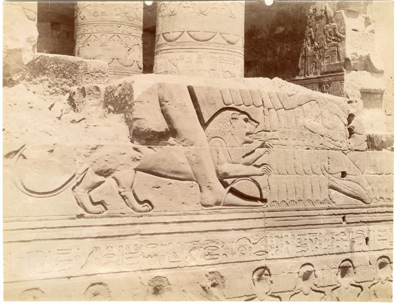Nell'immagine è rappresentato un dettaglio della decorazione della parete esterna dell'atrio ipostilo del tempio di Sobek e Haroeris a Kom Ombo. Si intravedono i resti di una scena in cui un leone sta attaccando dei prigionieri in ginocchio.  